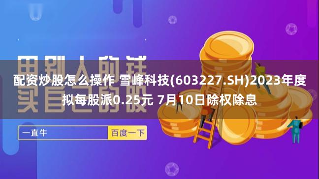 配资炒股怎么操作 雪峰科技(603227.SH)2023年度拟每股派0.25元 7月10日除权除息