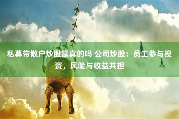 私募带散户炒股是真的吗 公司炒股：员工参与投资，风险与收益共担