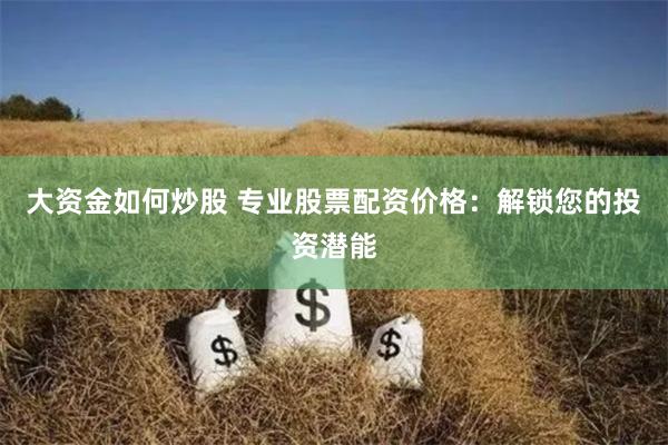 大资金如何炒股 专业股票配资价格：解锁您的投资潜能