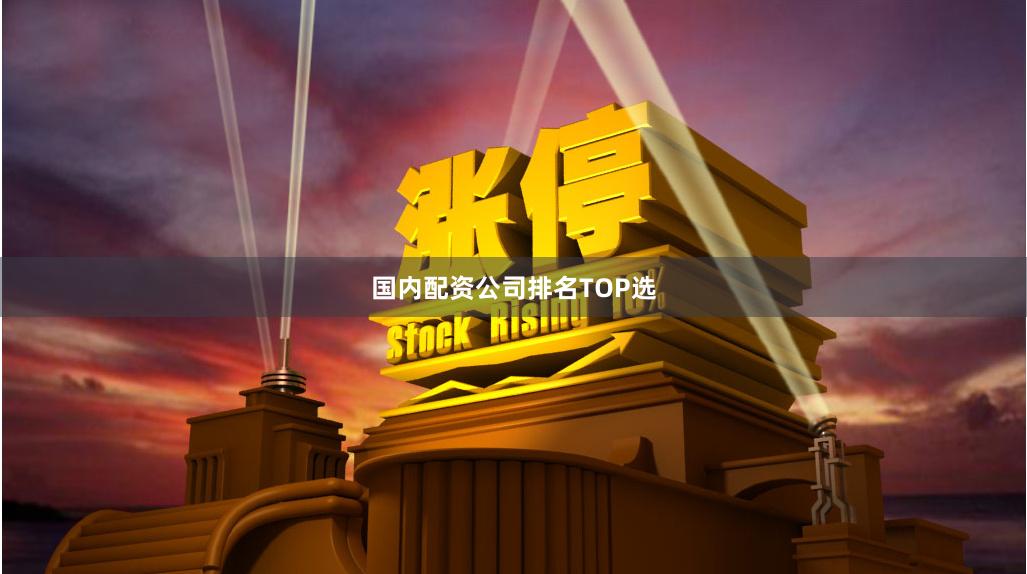 国内配资公司排名TOP选